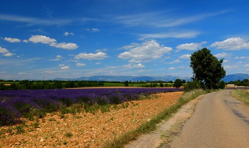 France provence south of france photo