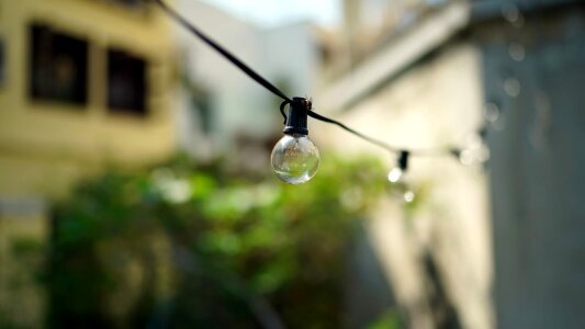 Light Bulb lamp nature photo