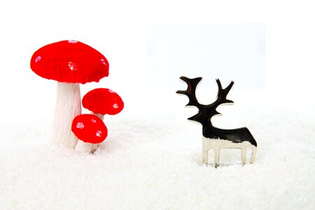 Mushroom celebration christmas photo