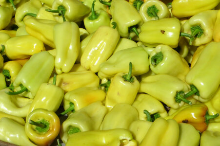 Yellow pepper on a market. Landscape photo