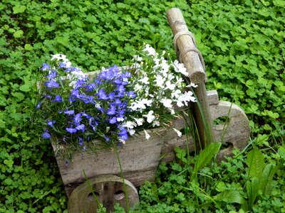 Clover green tricycle