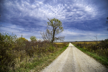 More Pathway Landscape at Faville Grove