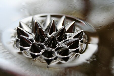 17 macro magnet