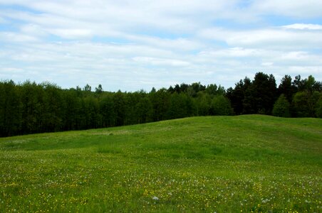 Blue Sky clouds grass photo