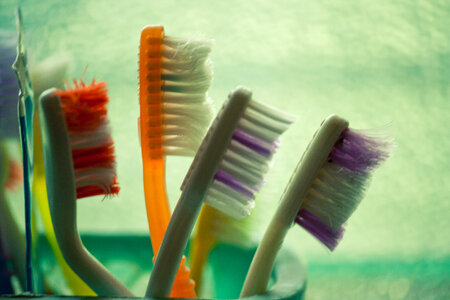 Toothbrushes Head photo