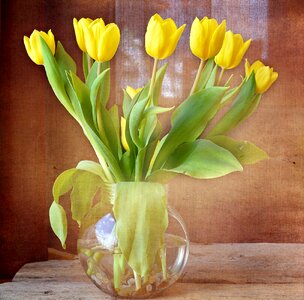 Spring flowers cut flowers vase photo