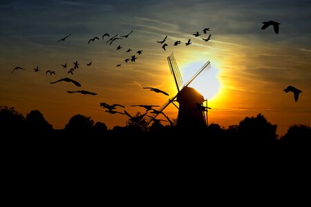 Nature landscape swarm