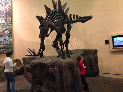 Prehistoric dinosaur paleontology photo