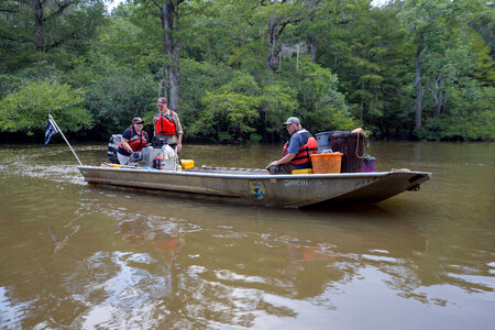 Biologists in boat study Gulf sturgeon in river-1