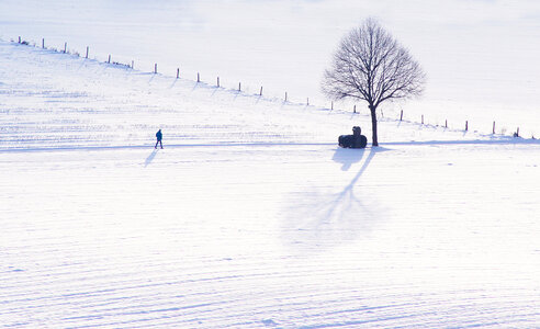 Winter Field Landsape with Tree and Walking Man photo