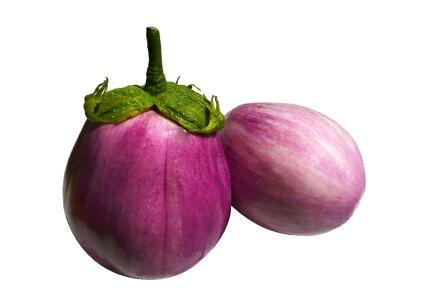 Food eat solanum melongena