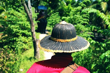 Asia fashion flora