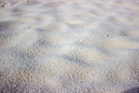 Fine Sand on a Tropical Beach photo