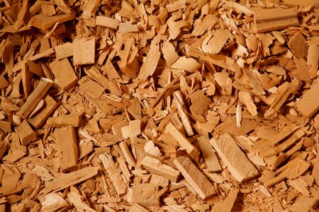 Chips cut lumber