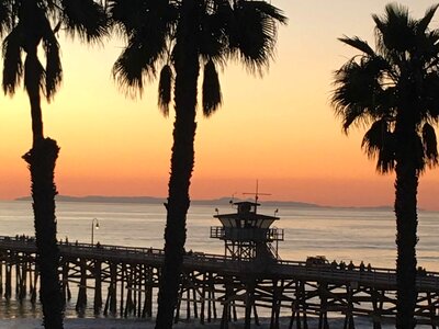 Sunset palm island photo