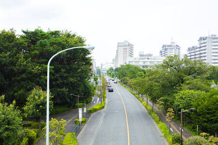 1 Kokubunji photo