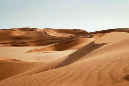 Landscape of Desert Dunes photo