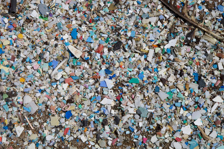 Plastic pollution on Laysan Island photo