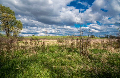 Clouds over the Marsh Landscape