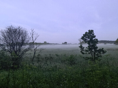 Misty and Foggy Morning on the trail