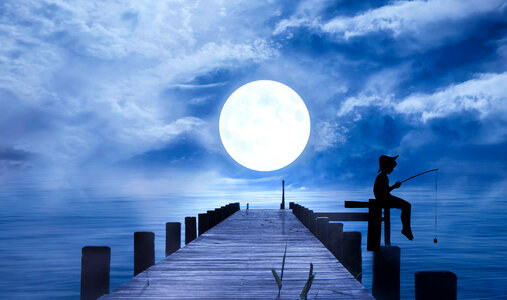 Fishing Under Moonlight photo