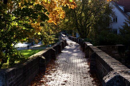 Fall foliage golden autumn leaves photo