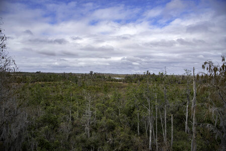Tower view of the surrounding Landscape