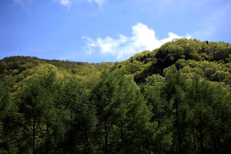 Branch branches environment