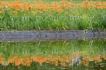Flower Garden reflector water