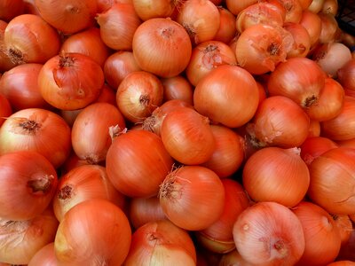 Shell brown food
