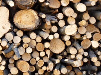 Work firewood stock