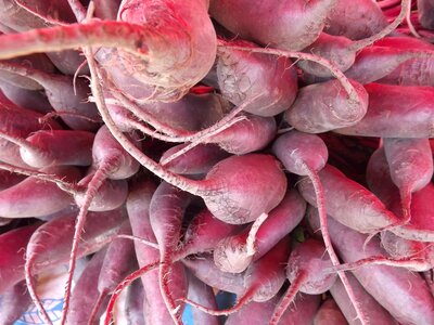 Eat vegetarian root