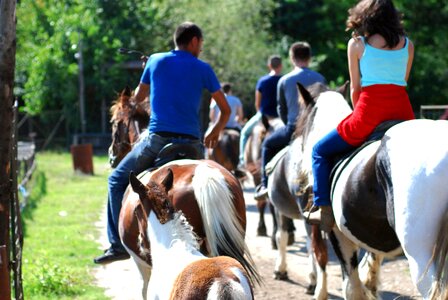 Animal cavalry child photo