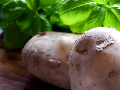 Healthy ingredient diet