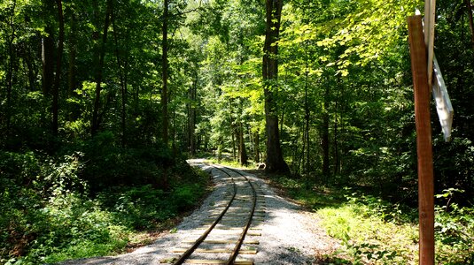 Lake Trail Burke Lake Park Virginia photo