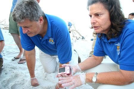 Sea Turtle egg relocation-1
