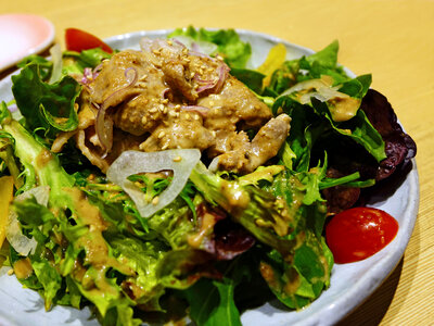 Meat Salad with Lettuce on a plate photo