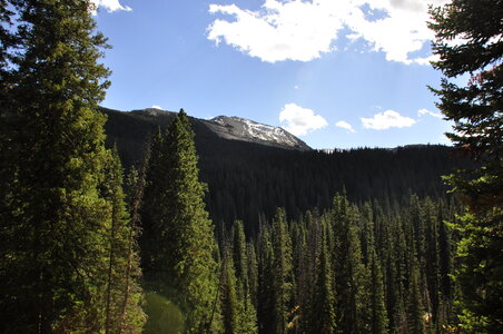 Summer in Grand Tetons National Park Wyoming