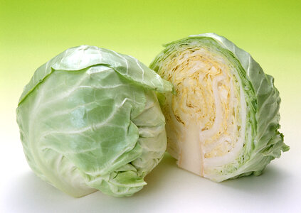 cabbages cut in half isolated on white background photo