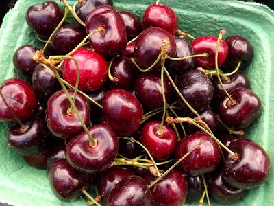 Ripe juicy orchard