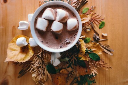 Marshmallows in Hot Chocolate Drink photo