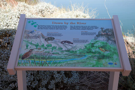 Down by the river interpretative sign
