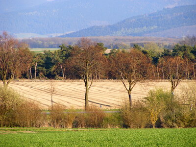 Fields with trees in front of the harz mountains photo
