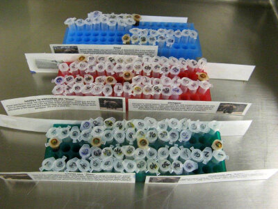 Science laboratory-1