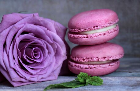 Beautiful Flowers beautiful photo biscuit