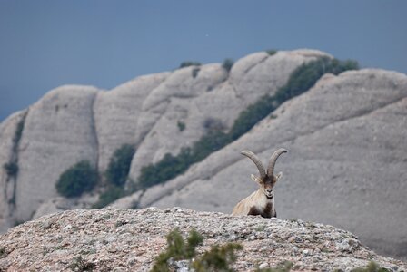 Spain montserrat mountain photo