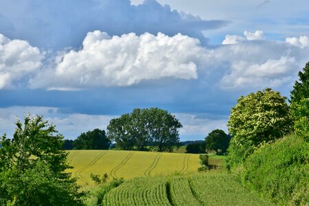 Agriculture blue sky cloud photo