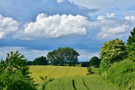 Agriculture blue sky cloud