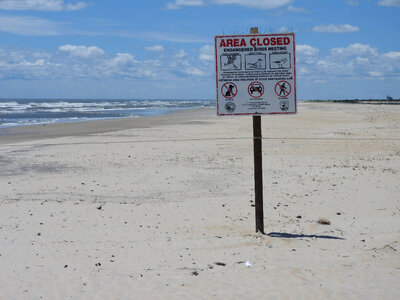 Endangered Birds Nesting sign-1