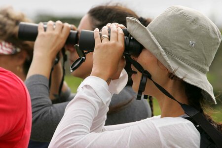 Binoculars environment number